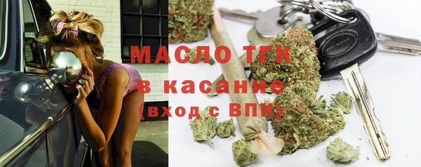 шишки Покачи