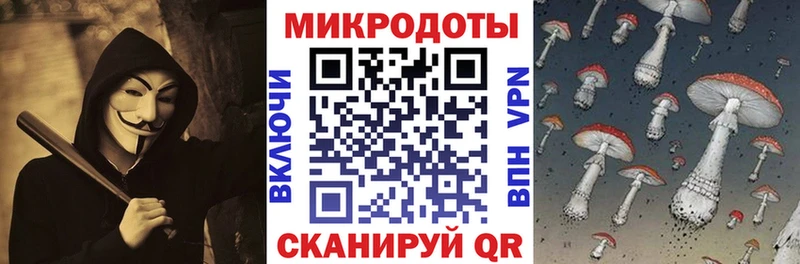 купить наркотик  darknet официальный сайт  Псилоцибиновые грибы MAGIC MUSHROOMS  Макарьев 